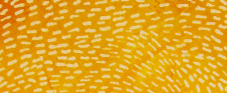 Ecstacy - Artwork - Detail