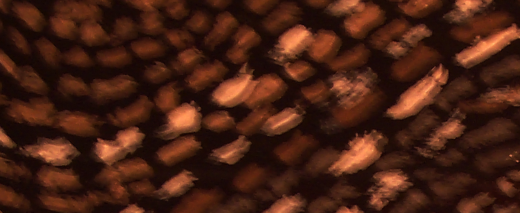 Transmission - Artwork - Cropped