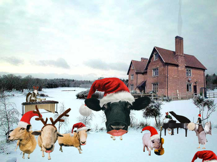 Rees Bradley Hepburn - Christmas Card