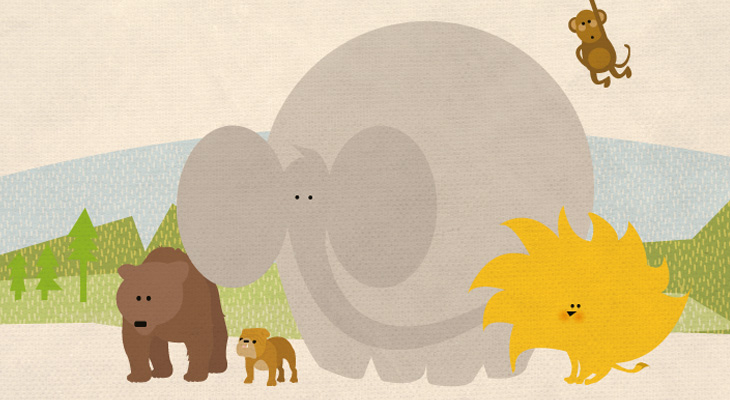 Animals - Illustrations