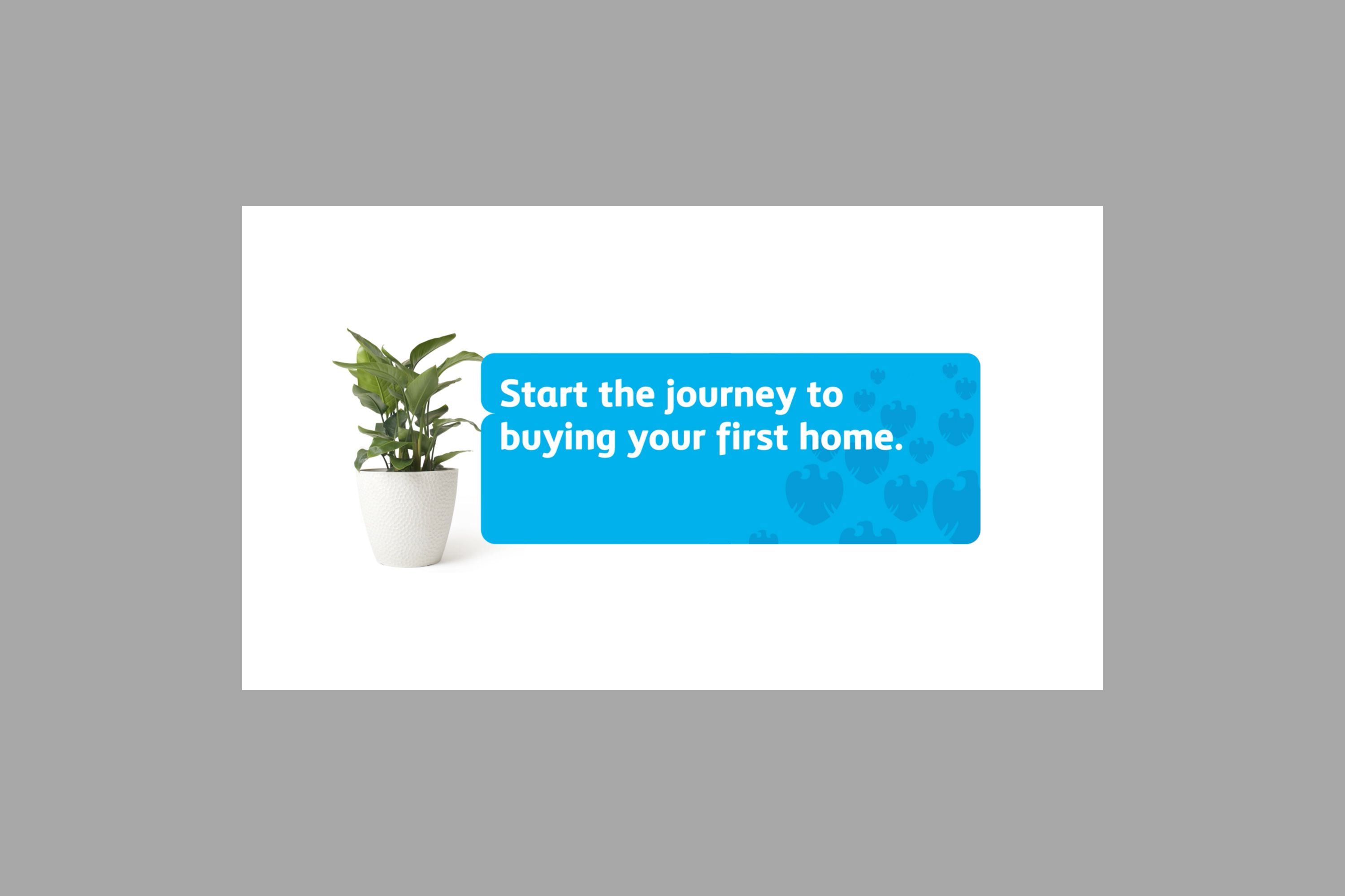 Houseplant