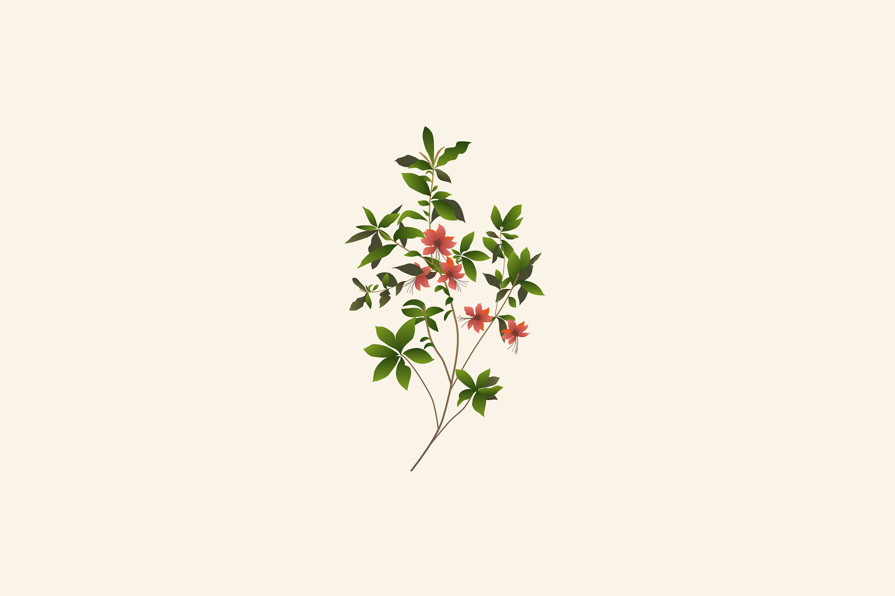 Audubon/Lazars arrangement