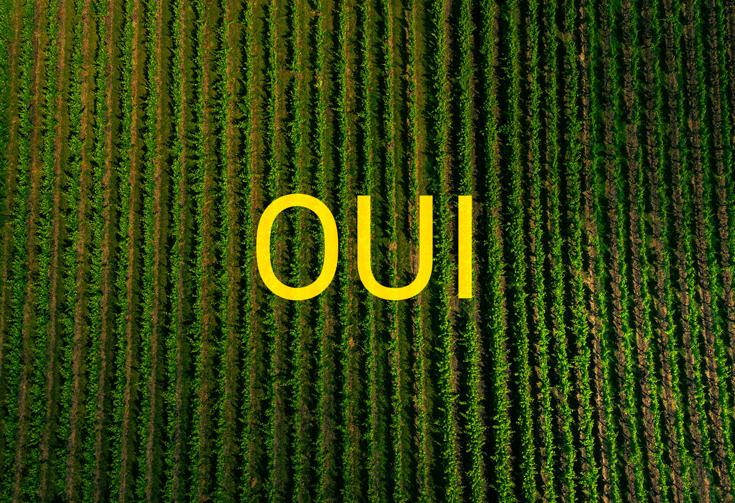 OUI