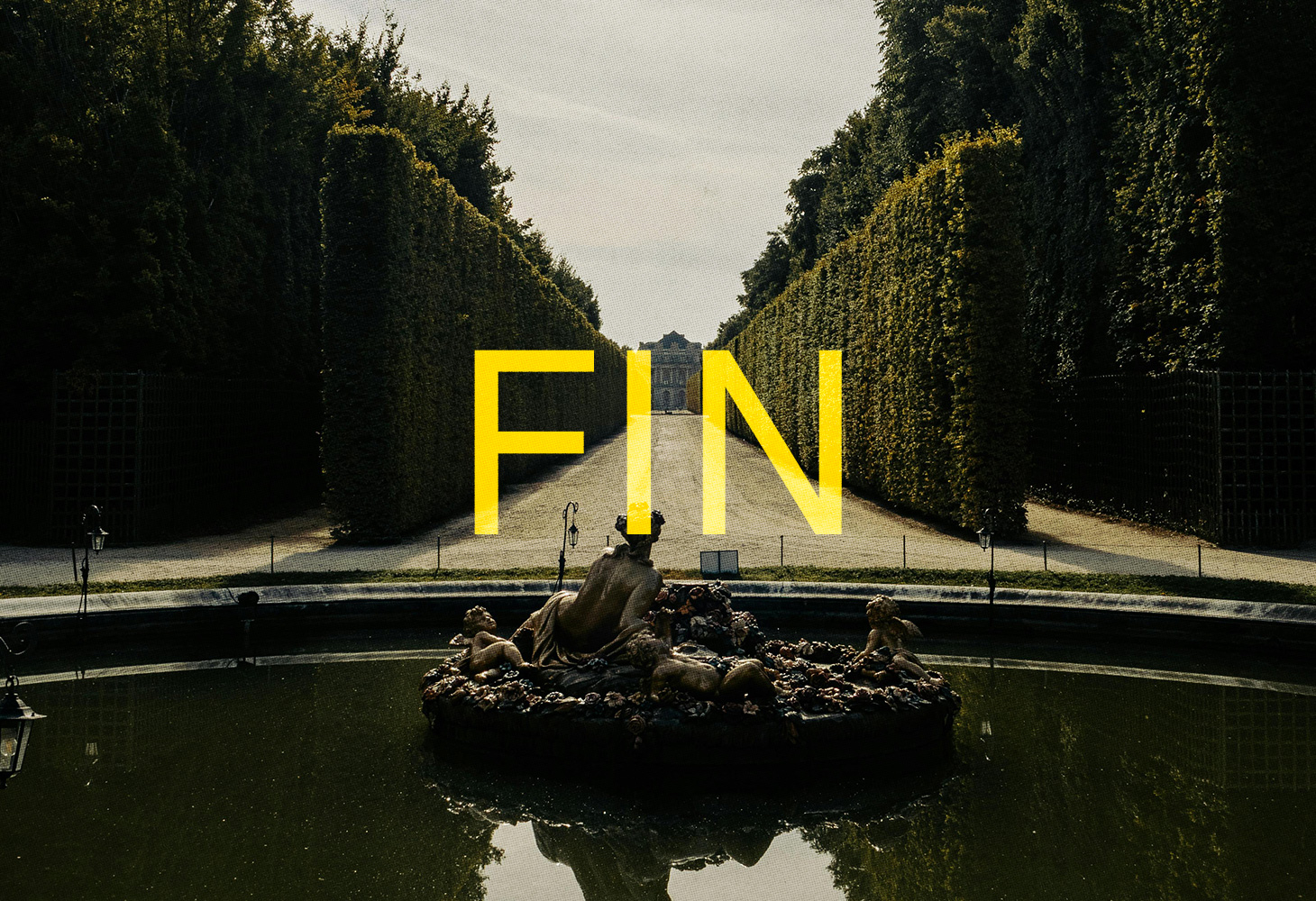 FIN