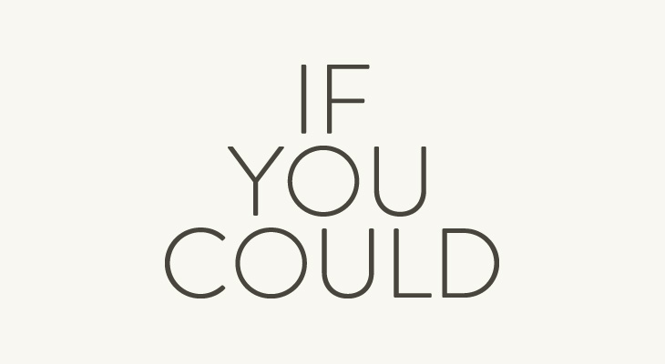 If You Could - Identity